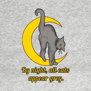 Cat Saying with Moon and Grey Cat T-Shirt